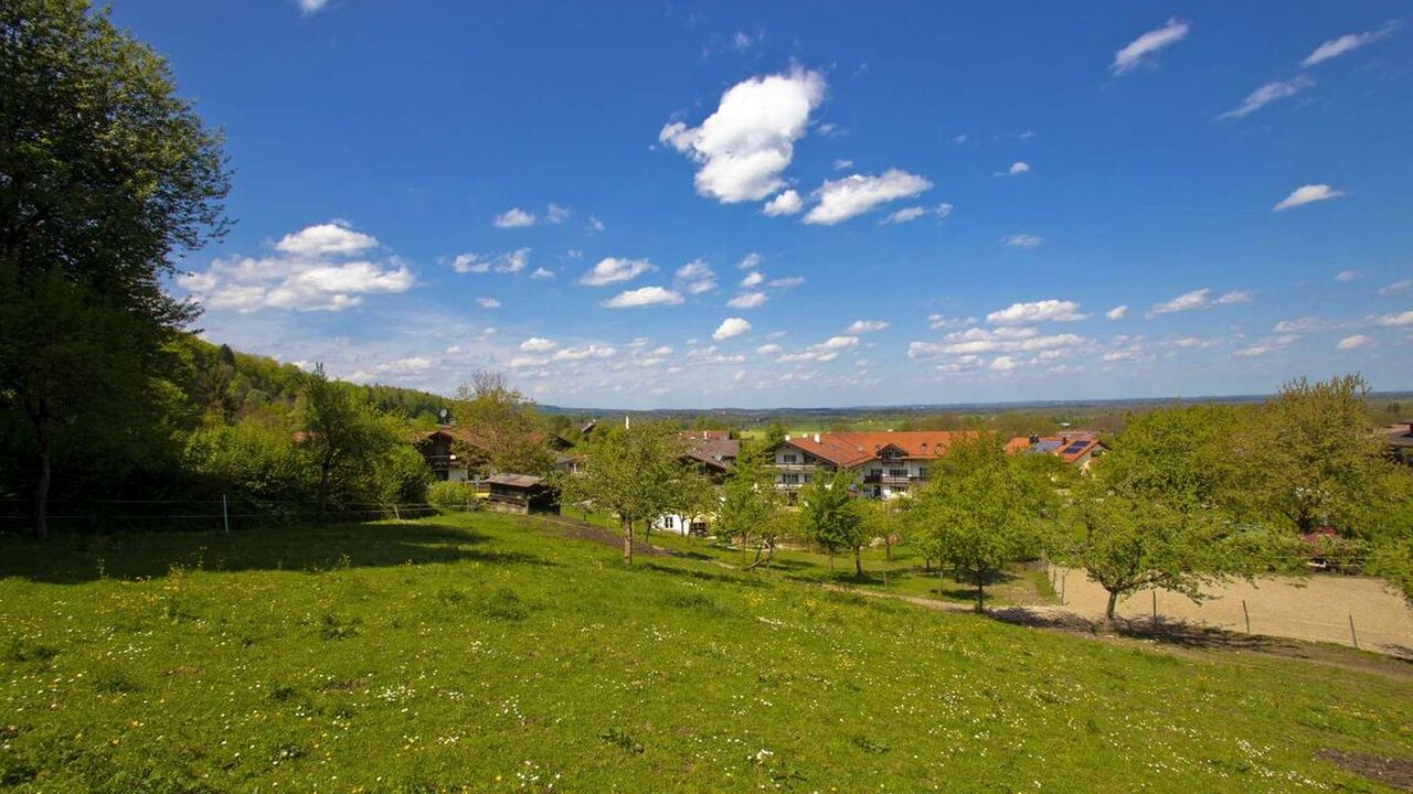 Pferdeweide Pferdeweide